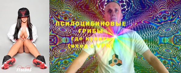 PSILOCYBIN Карпинск